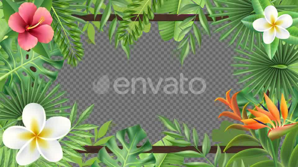 Tropical Plant Frame Hd Videohive 23722508 Motion Graphics Image 8