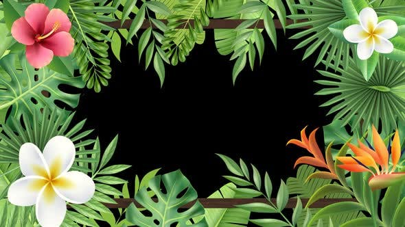 Tropical Plant Frame Hd - Videohive 23722508 Download