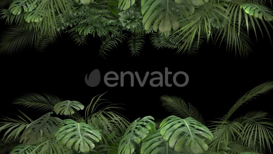 Tropical Plant on an Alpha Channel Videohive 23719781 Motion Graphics Image 1