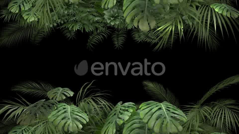 Tropical Plant on an Alpha Channel Videohive 23719781 Motion Graphics Image 10