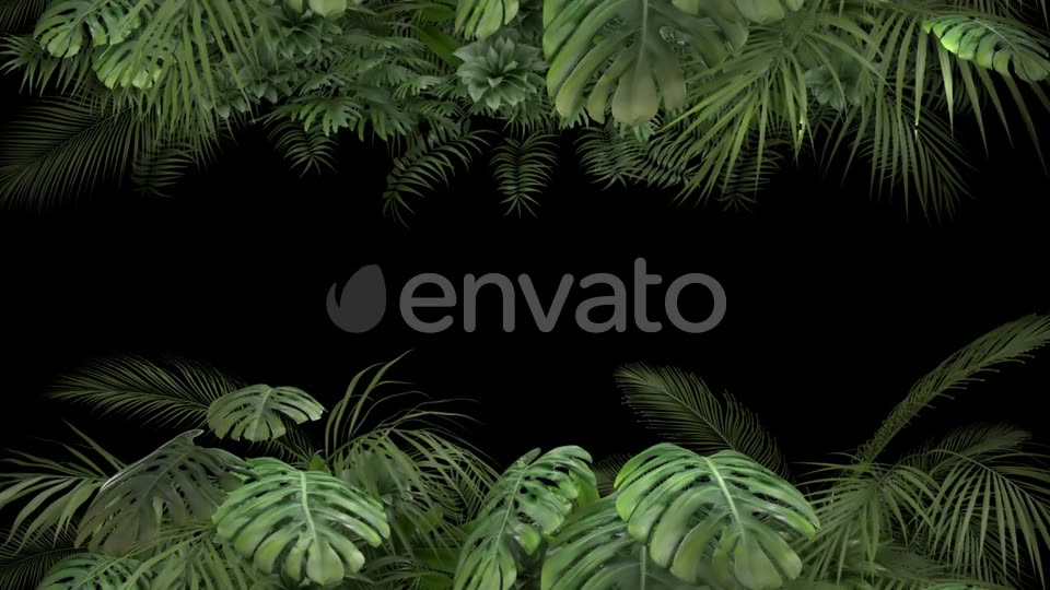 Tropical Plant on an Alpha Channel Videohive 23719781 Motion Graphics Image 2