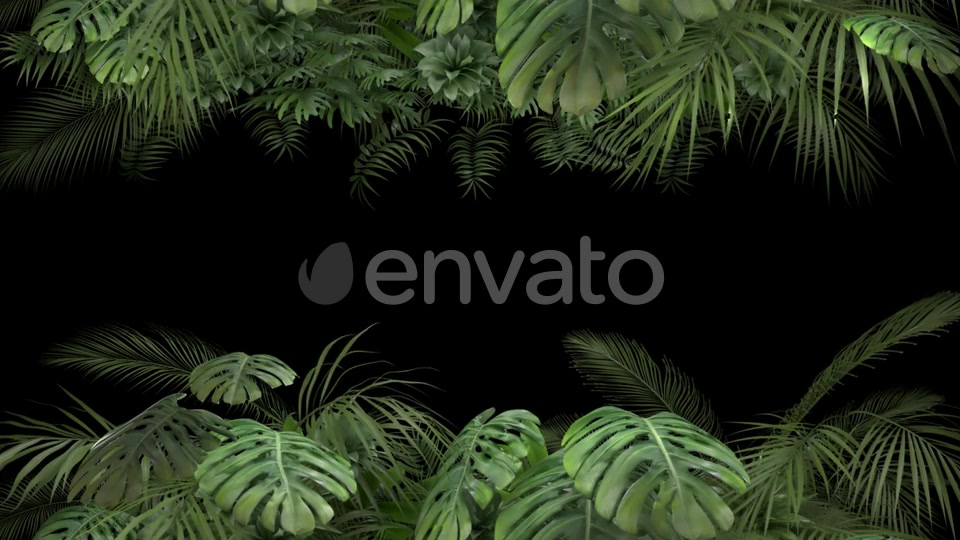 Tropical Plant on an Alpha Channel Videohive 23719781 Motion Graphics Image 3