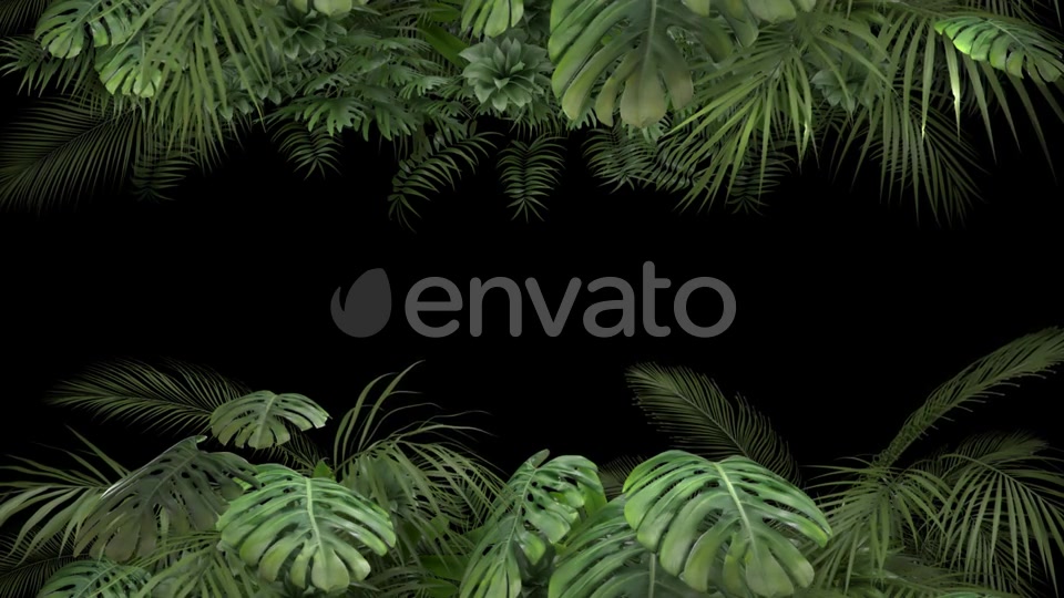 Tropical Plant on an Alpha Channel Videohive 23719781 Motion Graphics Image 4