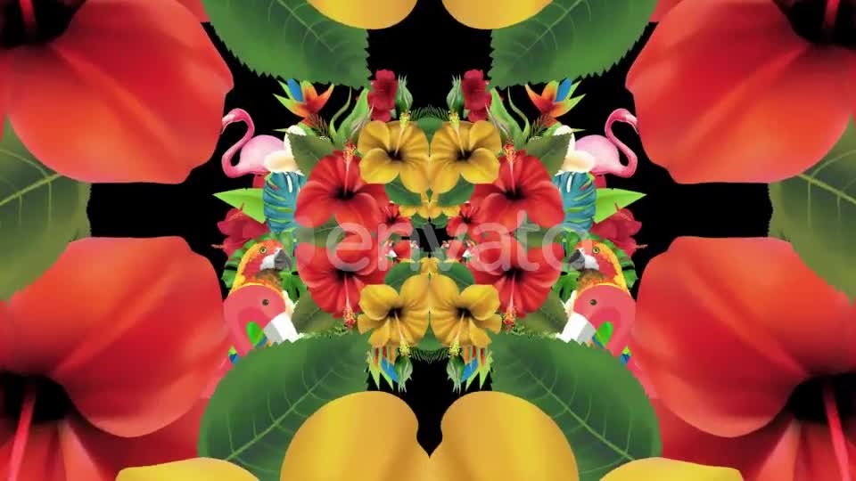 Tropical Summer Floral 3 in 1 Videohive 22744271 Motion Graphics Image 1