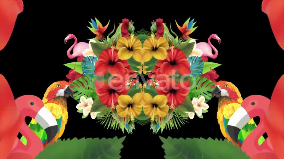 Tropical Summer Floral 3 in 1 Videohive 22744271 Motion Graphics Image 2