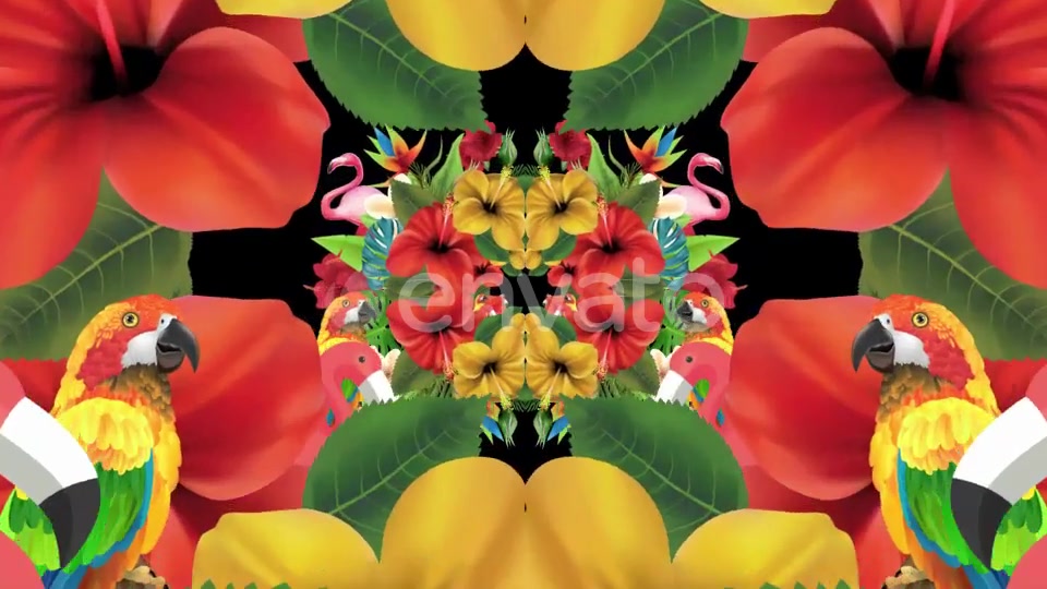 Tropical Summer Floral 3 in 1 Videohive 22744271 Motion Graphics Image 3