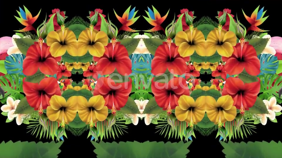 Tropical Summer Floral 3 in 1 Videohive 22744271 Motion Graphics Image 4