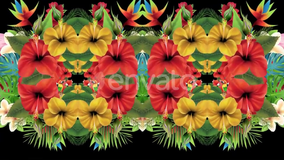 Tropical Summer Floral 3 in 1 Videohive 22744271 Motion Graphics Image 5