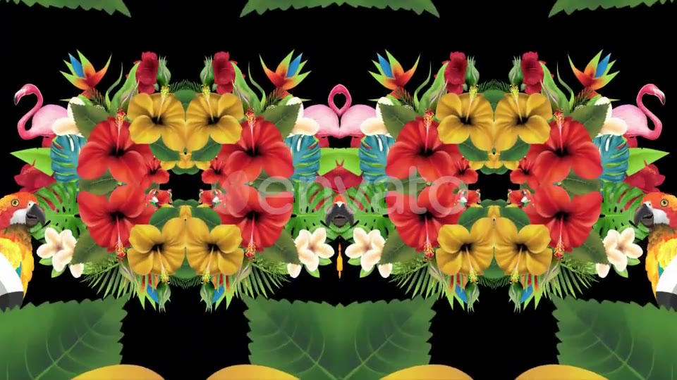 Tropical Summer Floral 3 in 1 Videohive 22744271 Motion Graphics Image 6