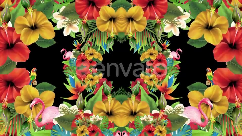 Tropical Summer Floral 3 in 1 Videohive 22744271 Motion Graphics Image 7