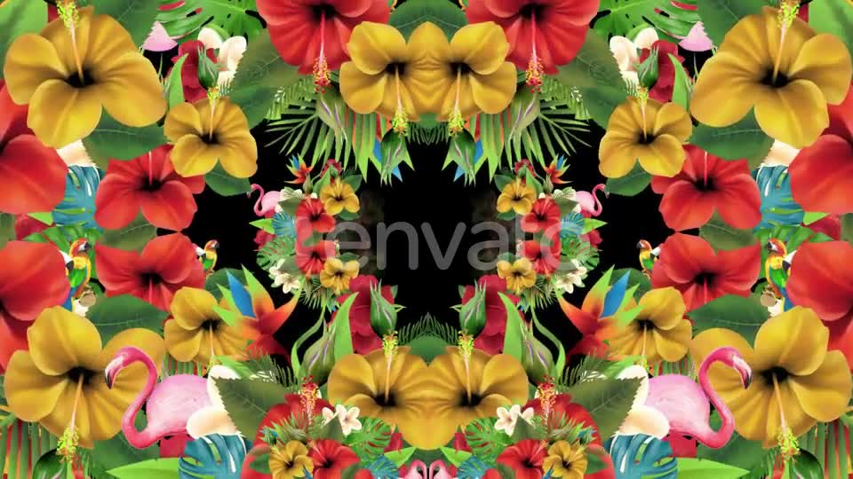 Tropical Summer Floral 3 in 1 Videohive 22744271 Motion Graphics Image 8