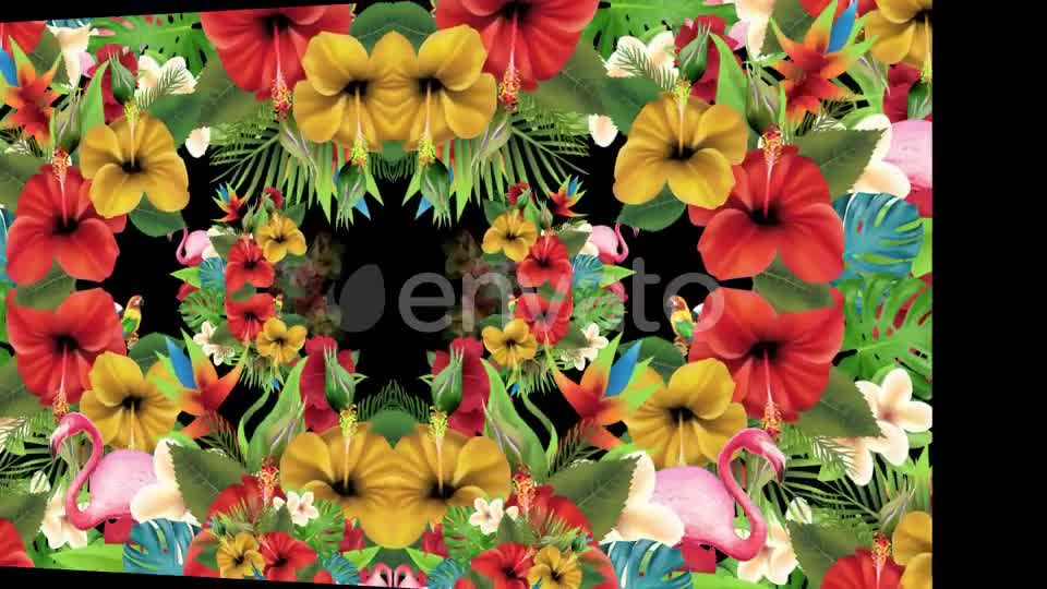 Tropical Summer Floral 3 in 1 Videohive 22744271 Motion Graphics Image 9