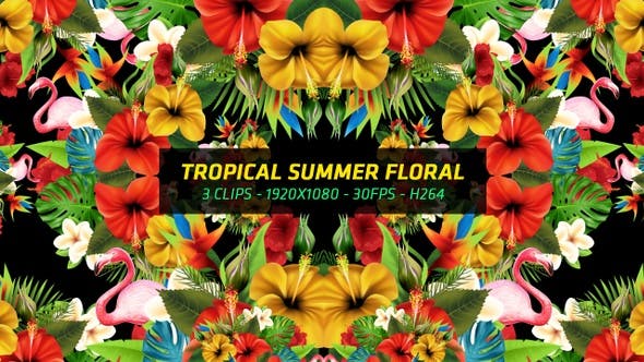 Tropical Summer Floral 3 in 1 - Videohive 22744271 Download