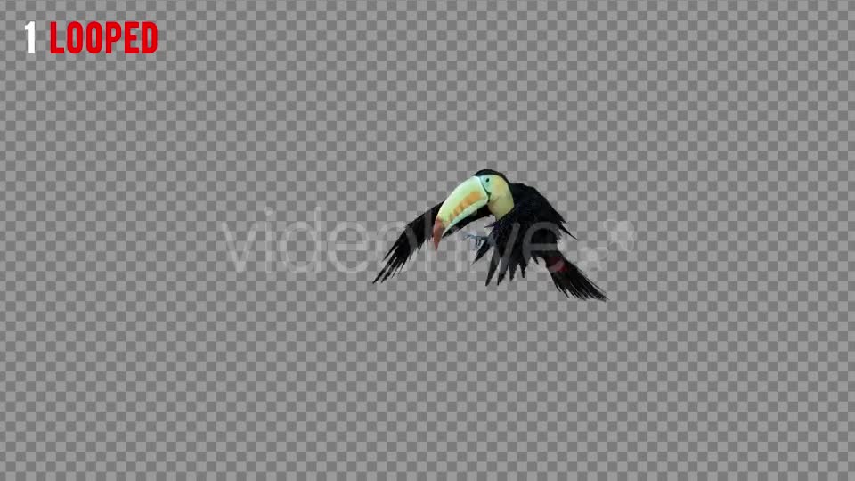 Tukan 1 Realistic Pack 4 Videohive 21247645 Motion Graphics Image 1