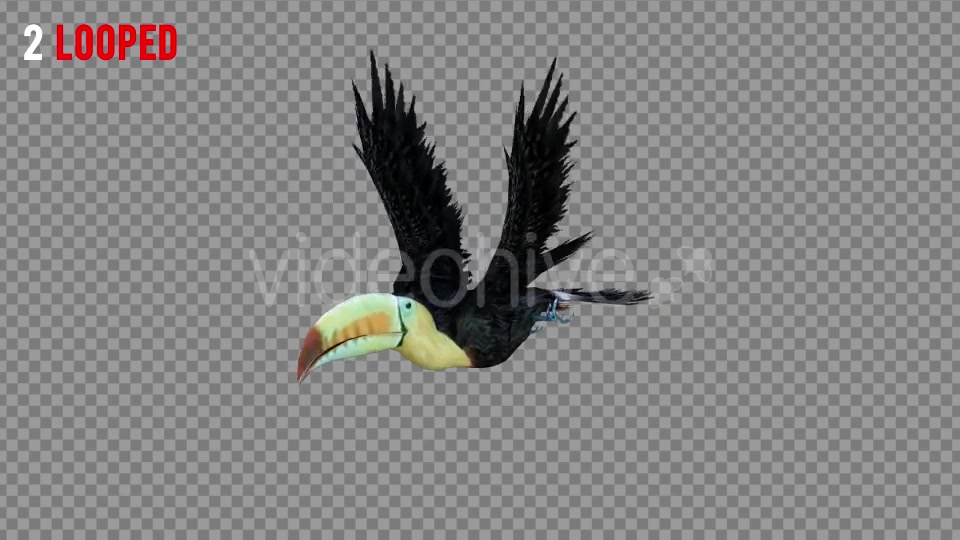 Tukan 1 Realistic Pack 4 Videohive 21247645 Motion Graphics Image 3