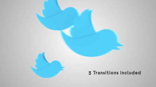 Twitter Transitions - 22132566 Videohive Download