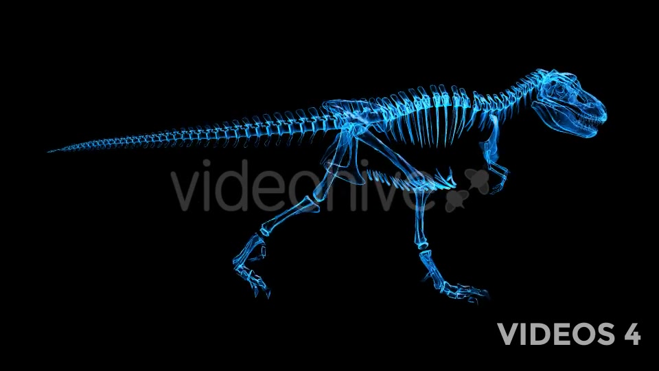 Tyrannosaur Skeleton Walking Xray Background with Alpha Videohive 20374878 Motion Graphics Image 12