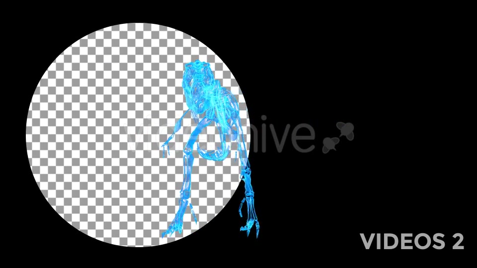Tyrannosaur Skeleton Walking Xray Background with Alpha Videohive 20374878 Motion Graphics Image 6