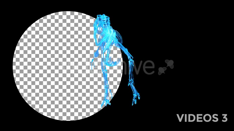 Tyrannosaur Skeleton Walking Xray Background with Alpha Videohive 20374878 Motion Graphics Image 7
