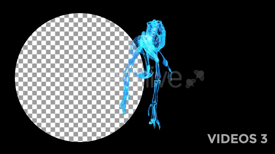 Tyrannosaur Skeleton Walking Xray Background with Alpha Videohive 20374878 Motion Graphics Image 8