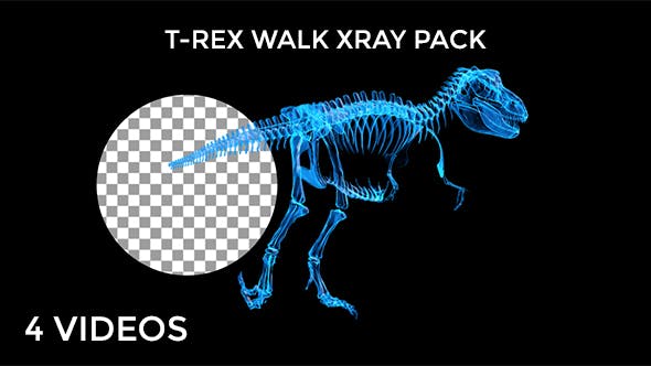 Tyrannosaur Skeleton Walking Xray Background with Alpha - Videohive 20374878 Download