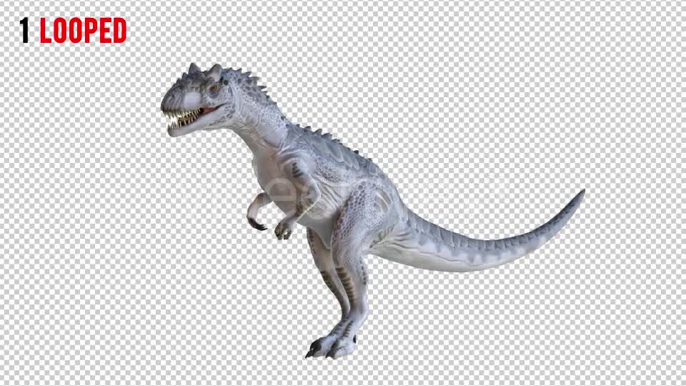 Tyrannosaurus Dinosaur 1 Realistic Pack 3 Videohive 20974421 Motion Graphics Image 1