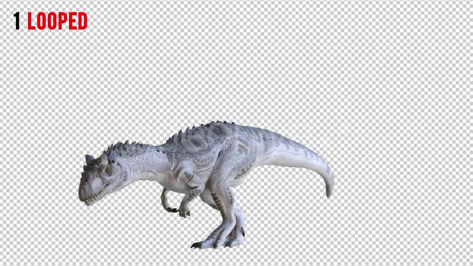 Tyrannosaurus Dinosaur 1 Realistic Pack 3 Videohive 20974421 Motion Graphics Image 2