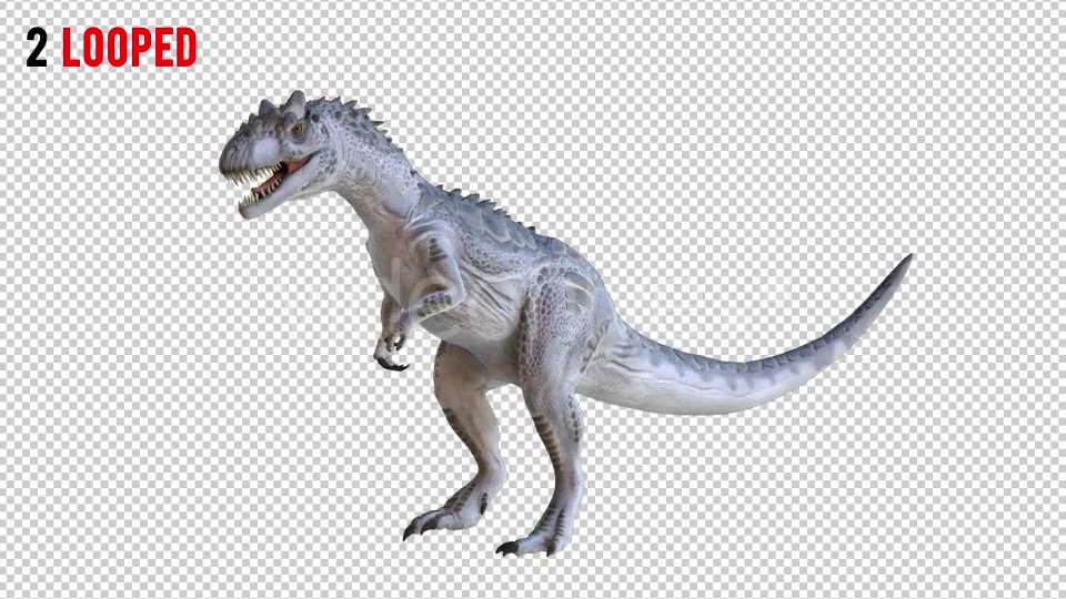 Tyrannosaurus Dinosaur 1 Realistic Pack 3 Videohive 20974421 Motion Graphics Image 3