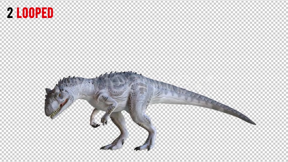 Tyrannosaurus Dinosaur 1 Realistic Pack 3 Videohive 20974421 Motion Graphics Image 4
