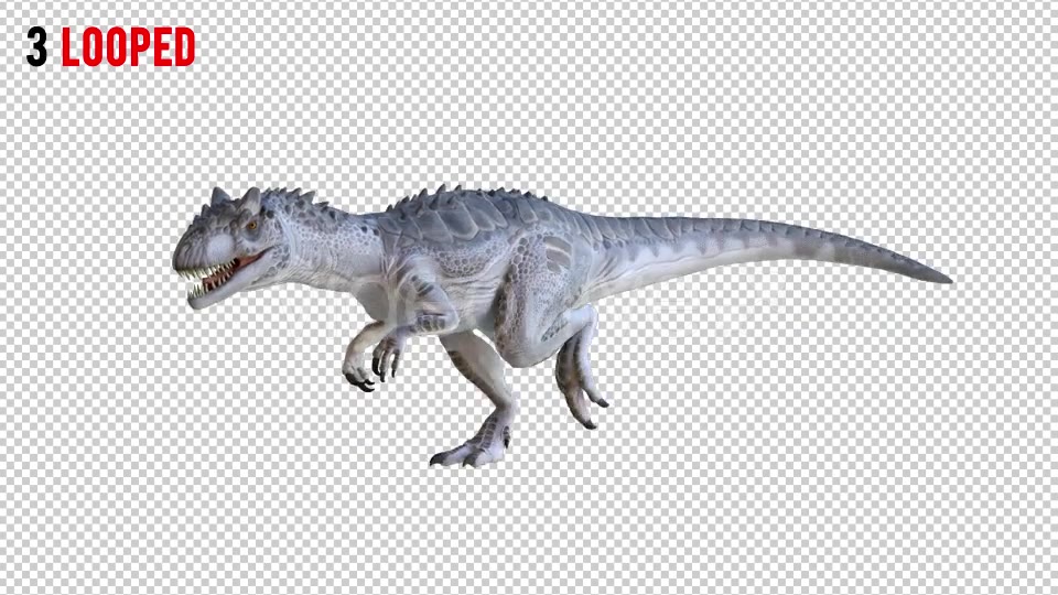 Tyrannosaurus Dinosaur 1 Realistic Pack 3 Videohive 20974421 Motion Graphics Image 5