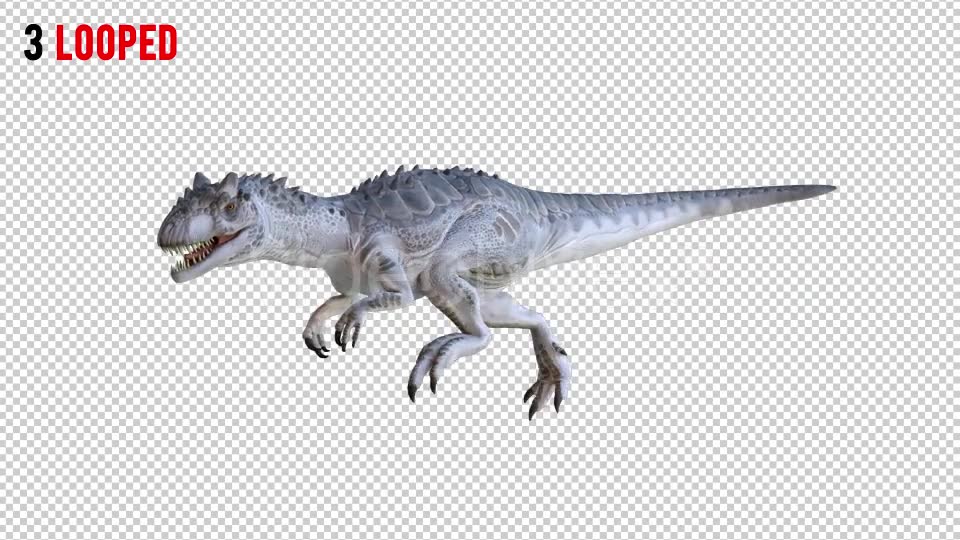 Tyrannosaurus Dinosaur 1 Realistic Pack 3 Videohive 20974421 Motion Graphics Image 6