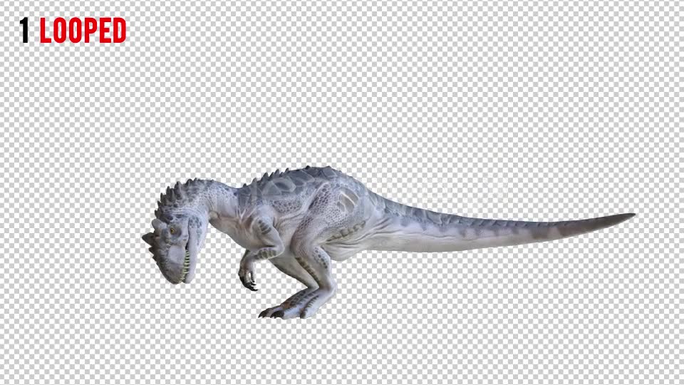 Tyrannosaurus Dinosaur 2 Realistic Pack 3 Videohive 20974568 Motion Graphics Image 2