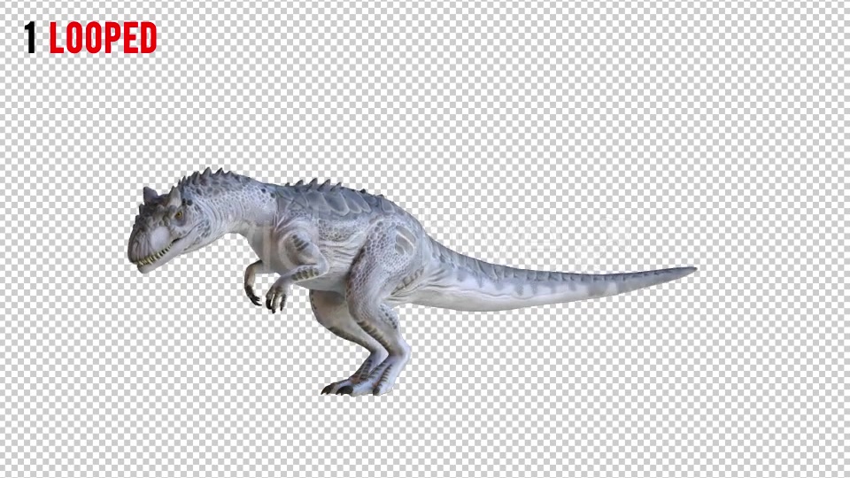 Tyrannosaurus Dinosaur 2 Realistic Pack 3 Videohive 20974568 Motion Graphics Image 3