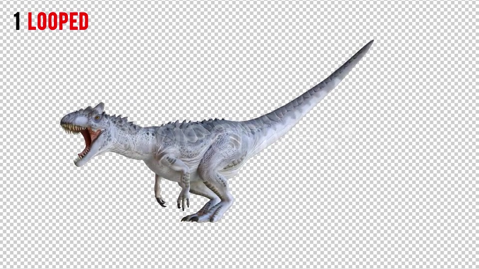 Tyrannosaurus Dinosaur 2 Realistic Pack 3 Videohive 20974568 Motion Graphics Image 4