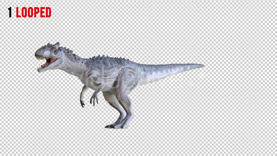 Tyrannosaurus Dinosaur 2 Realistic Pack 3 Videohive 20974568 Motion Graphics Image 5