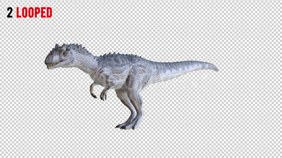 Tyrannosaurus Dinosaur 2 Realistic Pack 3 Videohive 20974568 Motion Graphics Image 6