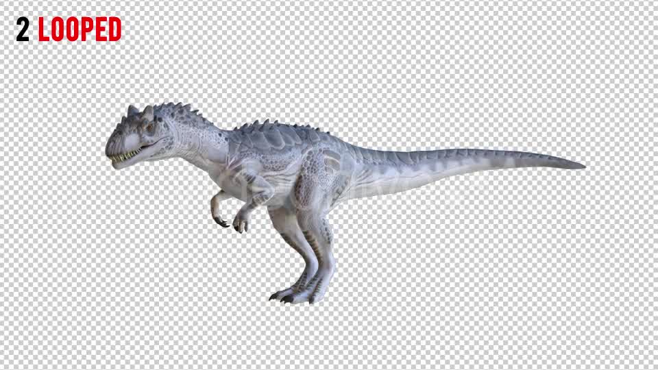 Tyrannosaurus Dinosaur 2 Realistic Pack 3 Videohive 20974568 Motion Graphics Image 7