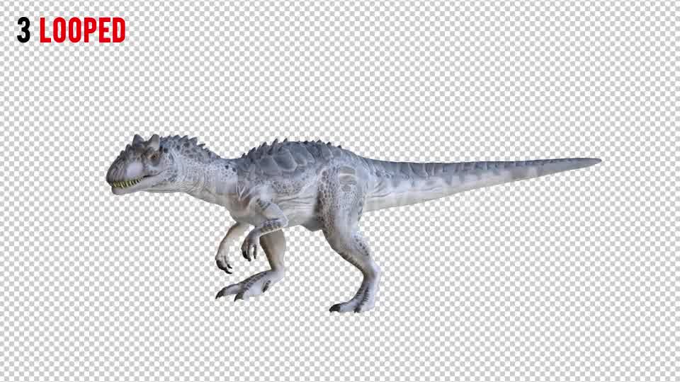 Tyrannosaurus Dinosaur 2 Realistic Pack 3 Videohive 20974568 Motion Graphics Image 8