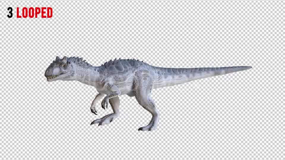 Tyrannosaurus Dinosaur 2 Realistic Pack 3 Videohive 20974568 Motion Graphics Image 9