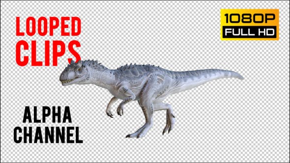 Tyrannosaurus Dinosaur 2 Realistic Pack 3 - Videohive Download 20974568