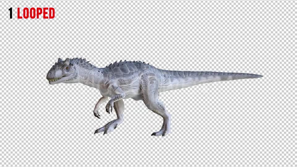 Tyrannosaurus Dinosaur 3 Realistic Pack 3 Videohive 20974690 Motion Graphics Image 1