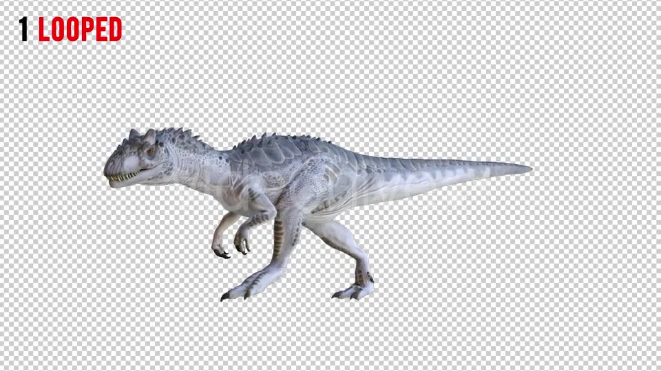 Tyrannosaurus Dinosaur 3 Realistic Pack 3 Videohive 20974690 Motion Graphics Image 2