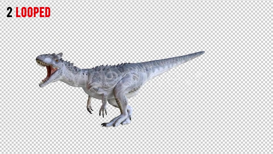 Tyrannosaurus Dinosaur 3 Realistic Pack 3 Videohive 20974690 Motion Graphics Image 4