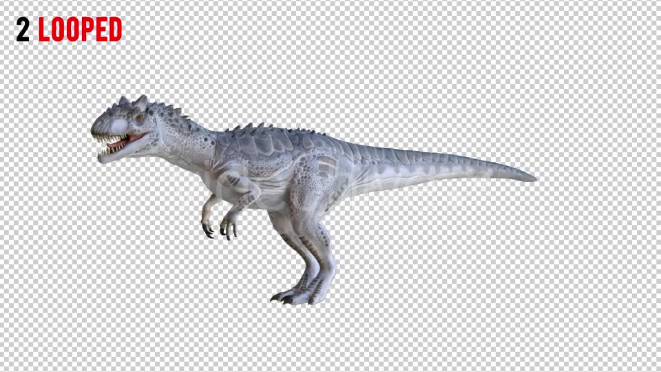 Tyrannosaurus Dinosaur 3 Realistic Pack 3 Videohive 20974690 Motion Graphics Image 5