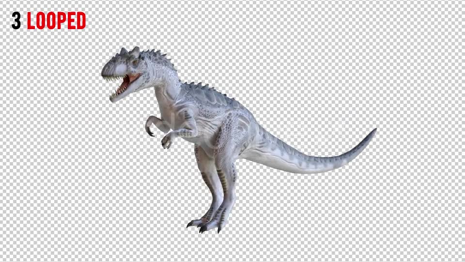 Tyrannosaurus Dinosaur 3 Realistic Pack 3 Videohive 20974690 Motion Graphics Image 6
