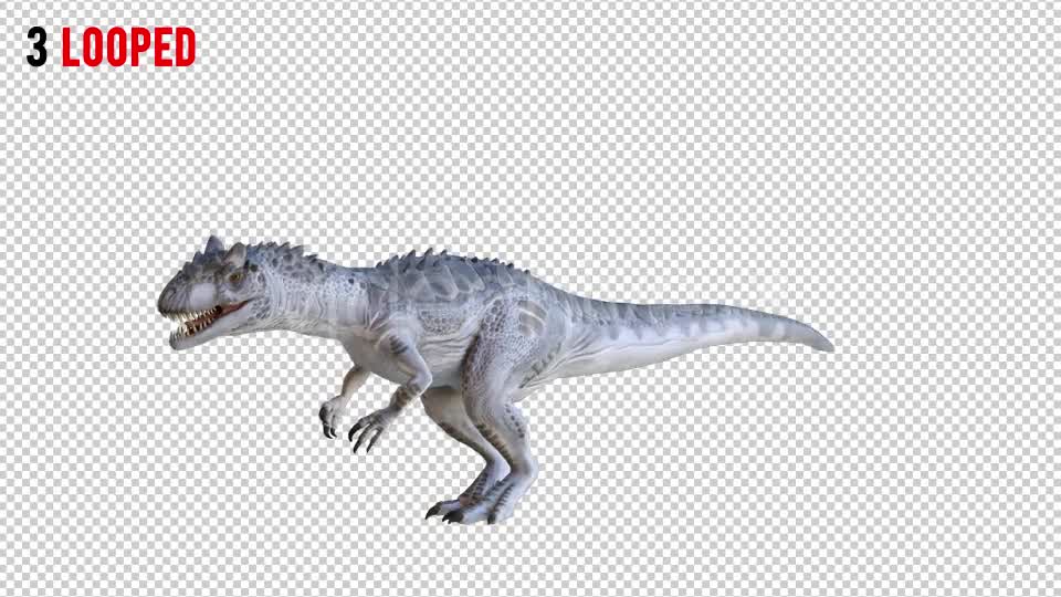 Tyrannosaurus Dinosaur 3 Realistic Pack 3 Videohive 20974690 Motion Graphics Image 7