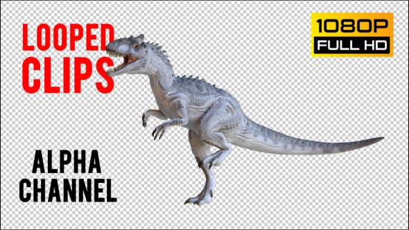 Tyrannosaurus Dinosaur 3 Realistic Pack 3 - 20974690 Download Videohive