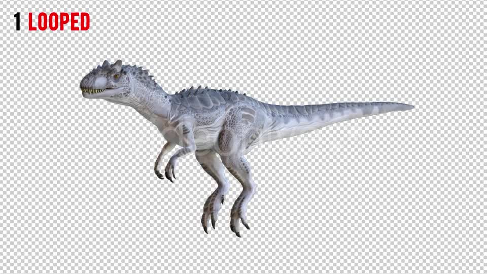Tyrannosaurus Dinosaur 4 Realistic Pack 4 Videohive 20980674 Motion Graphics Image 1