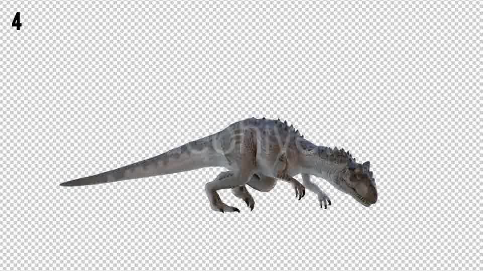 Tyrannosaurus Dinosaur 4 Realistic Pack 4 Videohive 20980674 Motion Graphics Image 10