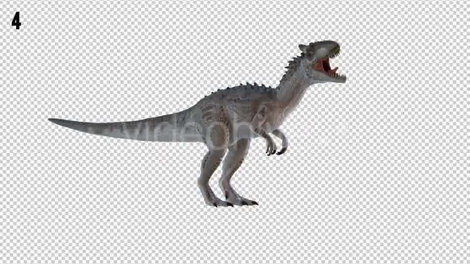 Tyrannosaurus Dinosaur 4 Realistic Pack 4 Videohive 20980674 Motion Graphics Image 11